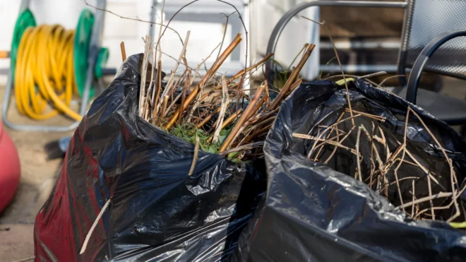 Garden Waste Skip Hire in Southport – Perfect for Coastal Gardens